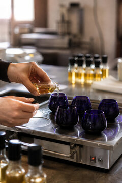 Olive Oil Sensory Glass Preparation for Professional Tasting and Premium Quality Evaluation