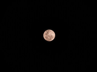 Stunning full moon glowing in a pure black night sky. Detailed lunar craters with a warm pinkish tint © MuhammadRizki