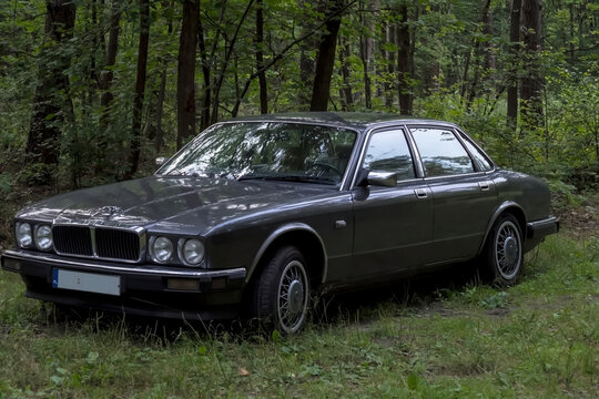 Ostrowiec Świętokrzyski, Polska  25 lipca 2026 r godz 18:43 Brytyjski klasyk  Jaguar XJ  zaparkowany jest pośr&oacute;d polskiego lasu Ten zabytkowy model, jest przykładem klasycznego brytyjskiego wzornictwa