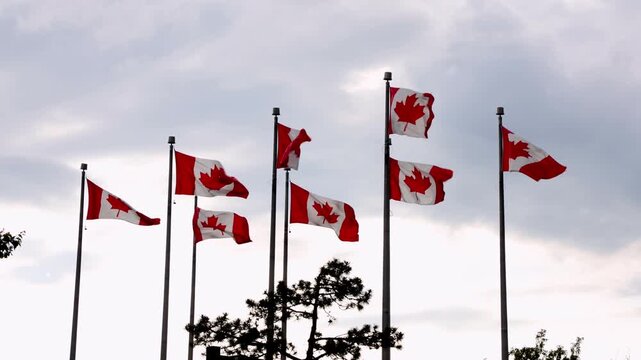 Canadian flags on flagpoles against sky in Ottawa, Canada