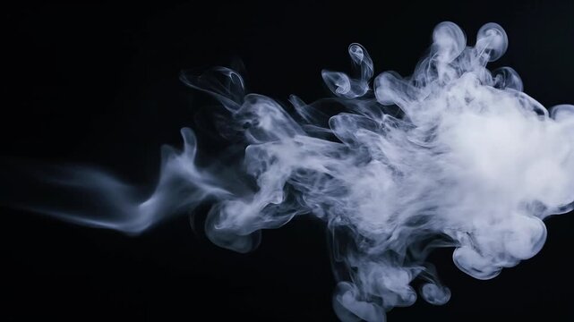 Close-up of white orchid bloom unfolding in slow motion against dark studio background