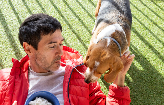 playful mature man sharing a bowl of noodles with his hungry beagle dog, eating together.