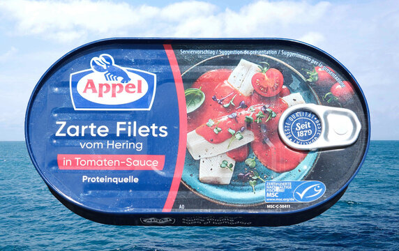 Eine geschlossene Fischkonserve mit Heringsfilets in Tomatensauce der Marke Appel, platziert vor einem Meereshintergrund, Ebikon 6.6.2026