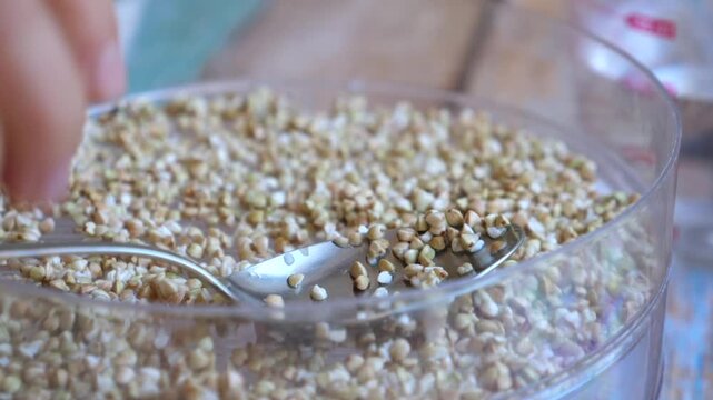 Buckwheat groats are stirred in clear bowl with spoon and fingers. Kitchen prep continues with careful hand movement, showing focused sorting of dry grain in simple close up food preparation.