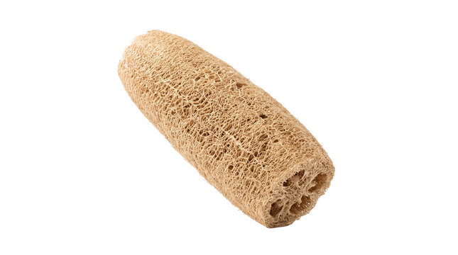 Natural dried loofah sponge with an elongated form and intricate beige fibrous network, presented as a sustainable everyday bathing and cleaning accessory. Isolated on White background.