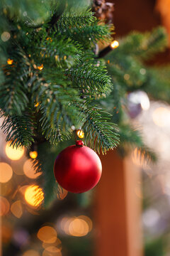 Closeup of Christmas tree branch decorated with red bauble and warm glowing lights and beautiful bokeh background. Cozy festive holiday atmosphere.