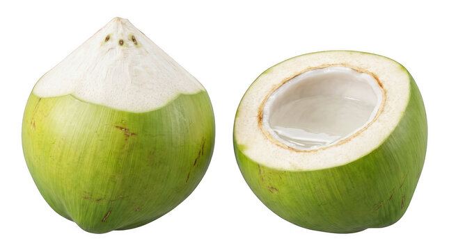 Fresh green coconuts whole and halved with white flesh isolated on a transparent background