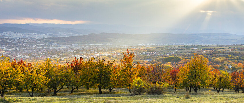 beautiful autumn landscape with colorful trees
