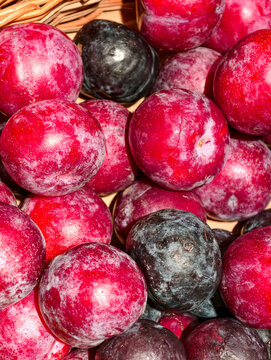 Plums displayed on grocery store shelves showcase fresh stone fruit with smooth skin, juicy flesh, natural sweetness, vitamins and beneficial antioxidant compounds