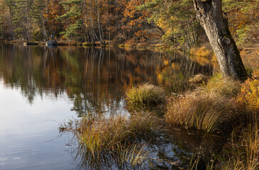 People fishing by lake during autumn © FOLIO
