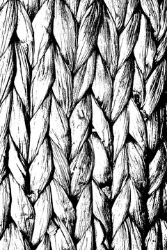 Transparent black overlay with braided weave texture with interlocking elongated strands, organic fiber pattern closeup. PNG