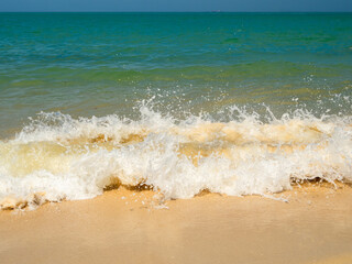Tropical Ocean Wave Crashing on Clean Sandy Beach: Vibrant emerald sea foam breaking over golden sand, ideal background texture for summer travel, wellness, and environmental themes. © Singh