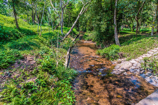 A view up a stream at the My Sơn Sanctuary in Quang Nam Province, Vietnam on a bright sunny day