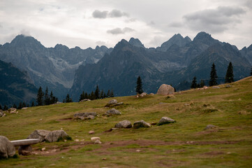 Scenic view of the majestic Tatra Mountains rising above the grassy Rusinowa Polana in Poland © WellStock