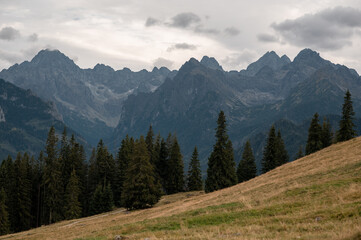 Majestic view of the Tatra Mountains peaks rising above the Rusinowa Polana meadow in Poland © WellStock