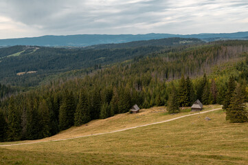 Scenic view of Rusinowa Polana with traditional wooden huts in the Tatra Mountains of Poland © WellStock