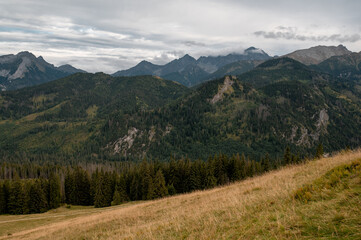 Panoramic view of the majestic Tatra Mountains landscape seen from the scenic Rusinowa Polana © WellStock