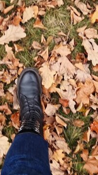 Legs walking on autumn dry leaves. Top view of female legs walking in autumn park. Vertical video. First person view of legs in boots walking on fallen maple and oak leaves. Autumn walk