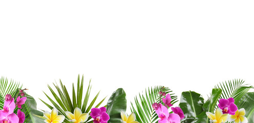 Vibrant tropical flowers and green leaves against white background. Banner design © New Africa
