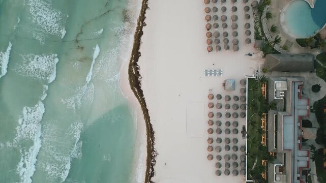 Aerial view of a resort shoreline lined with palms and rolling turquoise surf
