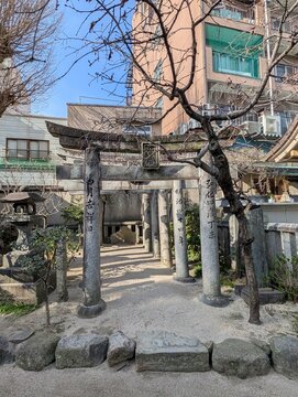Consecutive Weathered Stone Torii Gates and Gnarled Pine Tree at Sub-Shrine on Kushida Shrine Grounds in Fukuoka Japan
