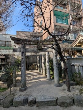 Consecutive Weathered Stone Torii Gates and Gnarled Pine Tree at Sub-Shrine on Kushida Shrine Grounds in Fukuoka Japan