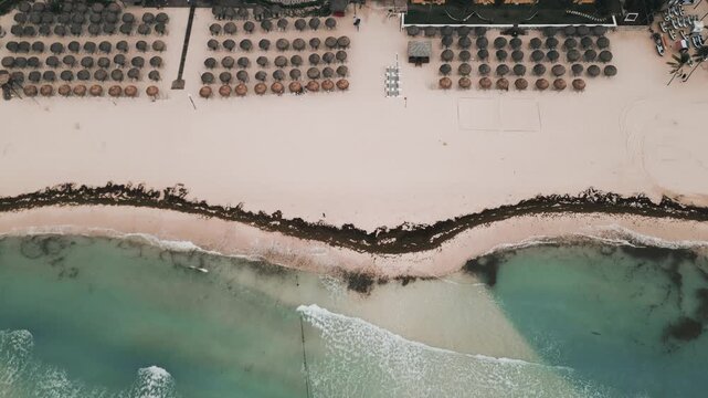 Aerial view of a rugged shoreline lined with sargassum seaweed and turquoise surf