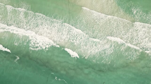 Aerial glide over turquoise waves rolling toward a sargassum lined shore