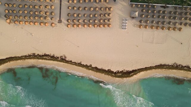 Aerial drift over rows of beach umbrellas along a sargassum lined shoreline