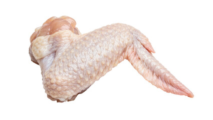 Raw chicken wing with skin and bone, isolated on transparent background © Mira