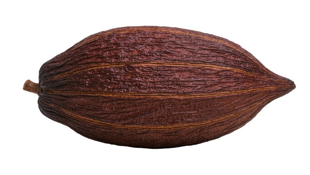 Brown ribbed cocoa pod, isolated on transparent background
