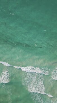 Aerial view of turquoise waves foaming along a sargassum lined shoreline