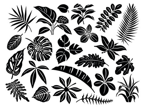 Set of floral elements and silhouettes of tropical leaves, ornamental patterns for using in invitation cards, ornaments, wedding invitations, etc. Handmade drawing vector illustration.