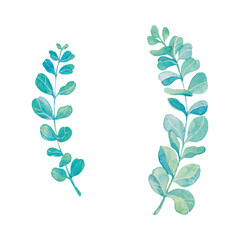 Two watercolor eucalyptus twigs to decorate the main composition © Konechnaya Nataliya
