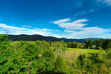Obraz premium nature
