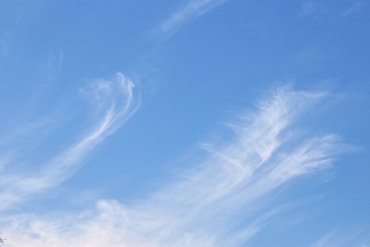 Wispy white cirrus clouds on bright blue sky background for sky replacement