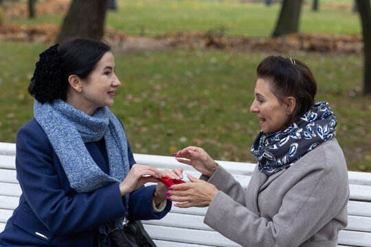 Communication. Two female friends meeting outdoors in city park sharing emotional talk and gestures during cool seasonal daytime.
