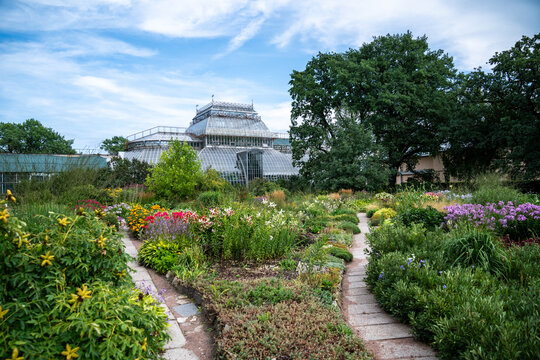 Curving walkways lead through densely planted borders filled with lilies and colorful flowers toward an expansive metal-framed greenhouse, creating carefully landscaped botanical garden view.