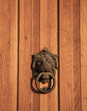 Vintage lion head door knocker on wooden door