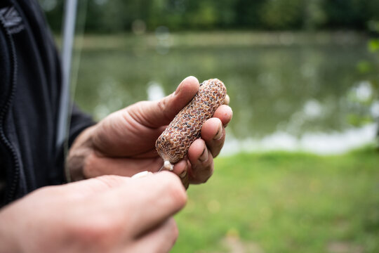 Close-up of a fisherman's hands holding a PVA mesh bag filled with bait pellets and boilies for carp fishing. Angler preparing groundbait tackle near the lake.