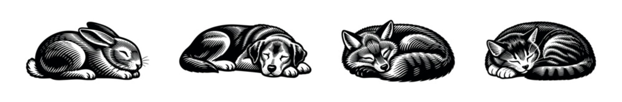 Black and white silhouette of sleeping animals including cat dog fox bunny illustration