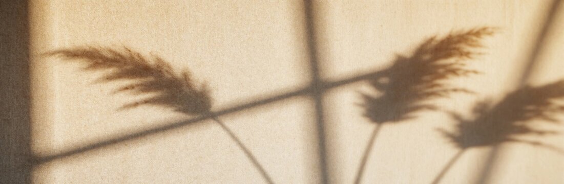 Abstract shadow of dried pampas grass on beige linen textile background. Soft sunlight creates floral pattern with window blind lines. Wabi sabi style aesthetic backdrop for minimalist design, cozy