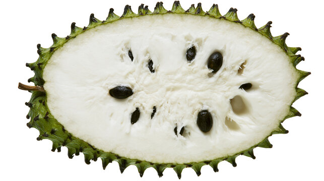 Isolated fresh ripe soursop fruit cut in half revealing creamy white pulp and dark seeds