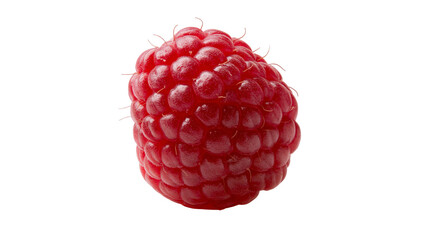 Isolated fresh ripe red raspberry single berry fruit natural healthy sweet delicious food © Andrei