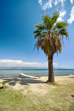 Palm tree and wooden pier on a beach along the Ionian Sea coast on the island of Corfu