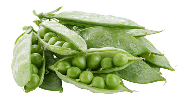 Isolated fresh vibrant green peas in split pods with whole unshelled pea pods, healthy raw food