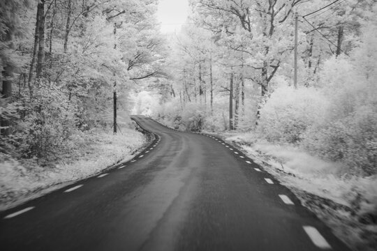 Winding road through a wooded area captured with an infrared filter showing unique colors and details