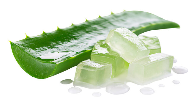 Isolated fresh aloe vera leaf and natural gel cubes, healthy succulent plant for skincare