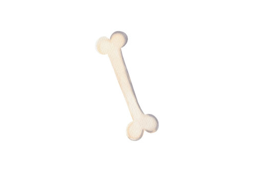 Human bone made in Procreate in Watercolor technique. PNG file. 300 DPI. Raster. RGB