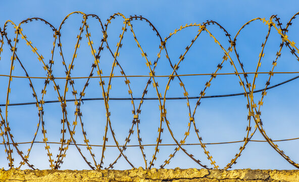 Rusty razor barbed wire fence against clear blue sky close up. This is a secure military or prison border barrier. Protective sharp steel wire on a concrete wall on a bright sunny day. Freedom.